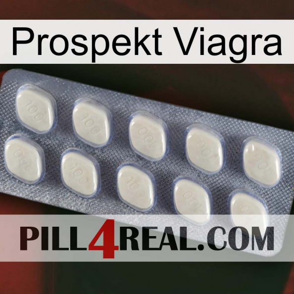 Prospecto Viagra 08.jpg